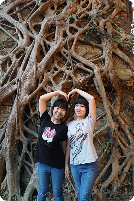 ▋苗栗景點 ▋舊山線鐵道自行車。秒殺搶票的Rail Bike C路線!在鐵道上騎自行車,全台最好玩的鐵道路線! @捲捲頭 Wonderful 品味。生活