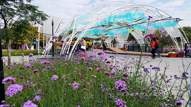 20181216_103323 - 複製