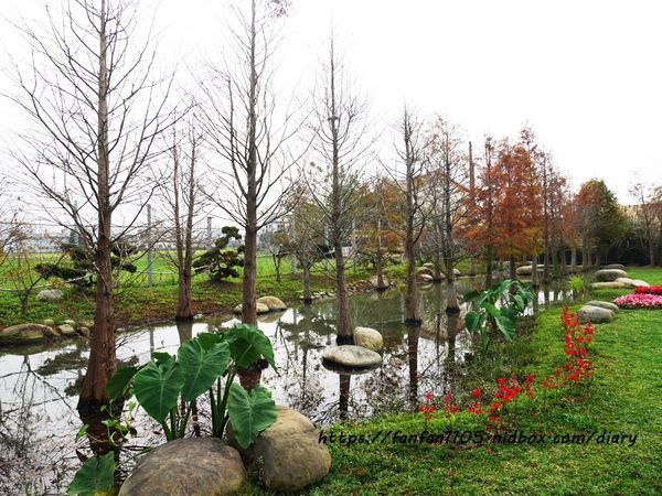 【苗栗公館住宿】和風民宿%26;和風食堂 #一泊二食 #客家美食 #自行車 #落羽松 #咖啡烘豆 #手沖咖啡 #親子住宿 (30).JPG