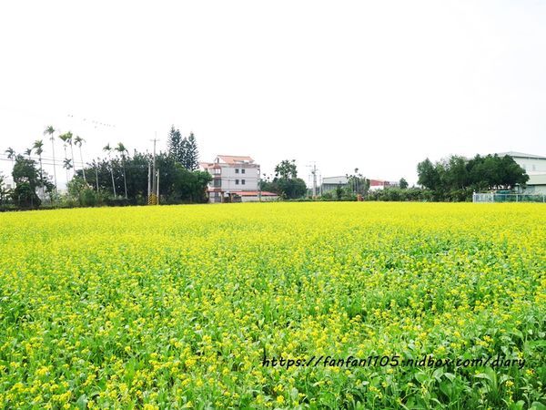 【苗栗公館住宿】和風民宿%26;和風食堂 #一泊二食 #客家美食 #自行車 #落羽松 #咖啡烘豆 #手沖咖啡 #親子住宿 (24).JPG