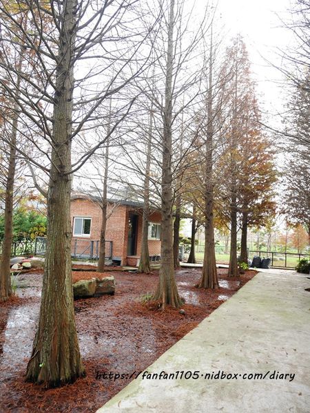 【苗栗公館住宿】和風民宿%26;和風食堂 #一泊二食 #客家美食 #自行車 #落羽松 #咖啡烘豆 #手沖咖啡 #親子住宿 (21).JPG