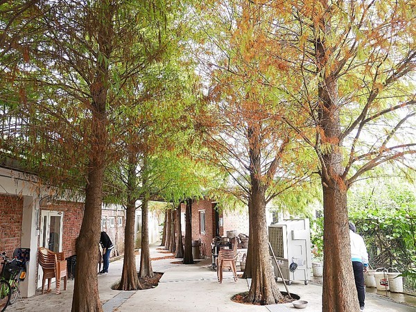 和風民宿&食堂：和風民宿&食堂-苗栗公館住宿  全家一起出遊的好地方  遠離繁雜的城市  到鄉下呼吸新鮮空氣  一泊二食cp值最高