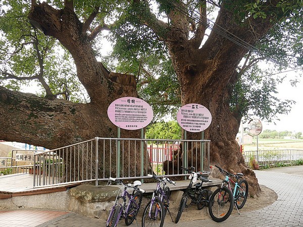 和風民宿&食堂：和風民宿&食堂-苗栗公館住宿  全家一起出遊的好地方  遠離繁雜的城市  到鄉下呼吸新鮮空氣  一泊二食cp值最高