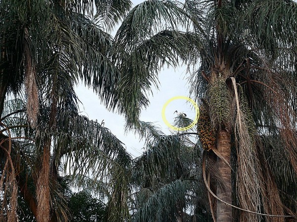 和風民宿&食堂：和風民宿&食堂-苗栗公館住宿  全家一起出遊的好地方  遠離繁雜的城市  到鄉下呼吸新鮮空氣  一泊二食cp值最高