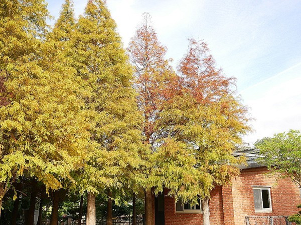 和風民宿&食堂：和風民宿&食堂-苗栗公館住宿  全家一起出遊的好地方  遠離繁雜的城市  到鄉下呼吸新鮮空氣  一泊二食cp值最高