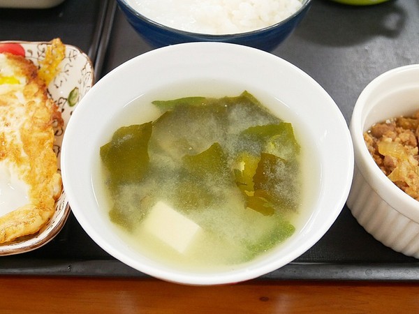 和風民宿&食堂：和風民宿&食堂-苗栗公館住宿  全家一起出遊的好地方  遠離繁雜的城市  到鄉下呼吸新鮮空氣  一泊二食cp值最高