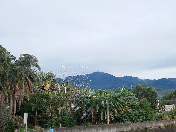 和風民宿&食堂：和風民宿&食堂-苗栗公館住宿  全家一起出遊的好地方  遠離繁雜的城市  到鄉下呼吸新鮮空氣  一泊二食cp值最高