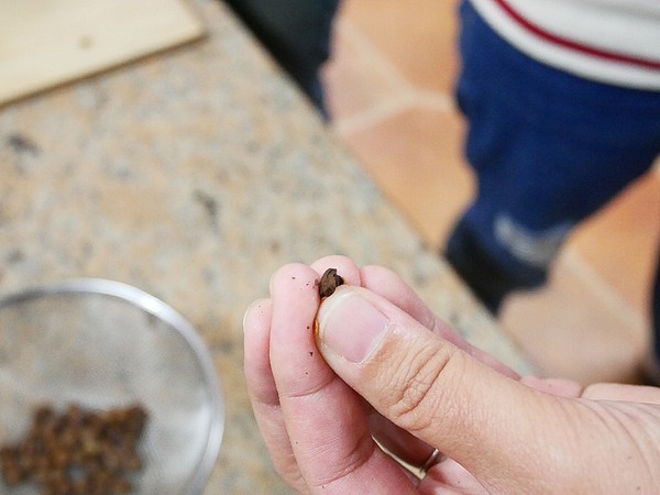 和風民宿&食堂：和風民宿&食堂-苗栗公館住宿  全家一起出遊的好地方  遠離繁雜的城市  到鄉下呼吸新鮮空氣  一泊二食cp值最高