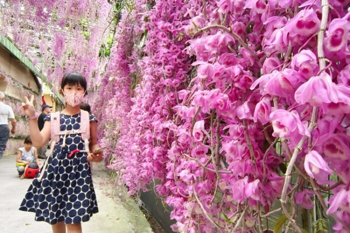 南投縣魚池鄉南投。魚池》碼啡館。邵族風味餐（日月潭水社碼頭）