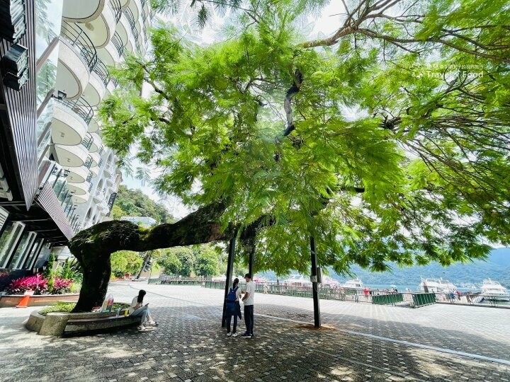 碼頭景色第一排，豐富美味邵族風味餐，隱身飯店裡的碼啡館 @魚兒 x 牽手明太子的「視」界旅行