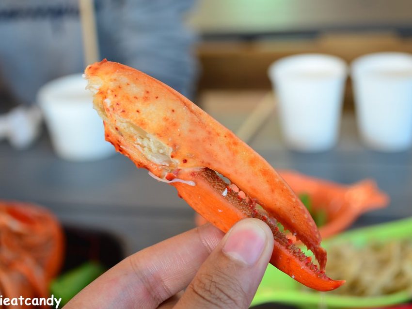 點波士頓龍蝦套餐加購99元，再贈送一隻波士頓龍蝦！