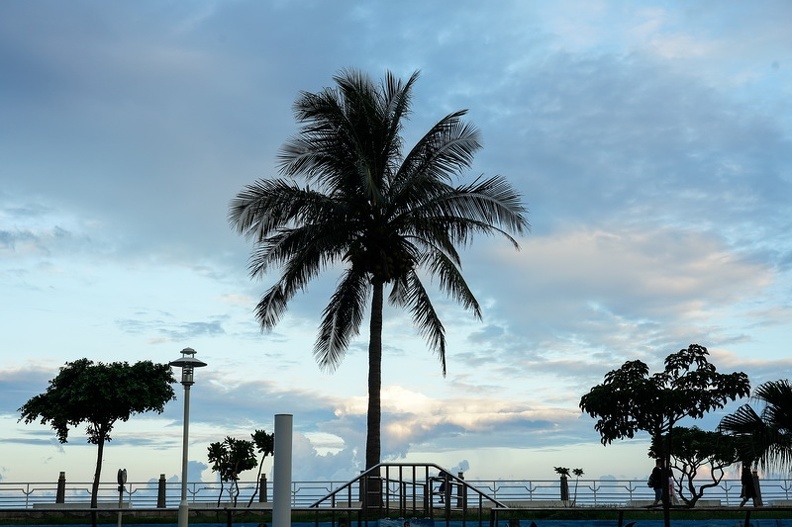 20180901-DSC04316.jpg 20180901-DSC04316.jpg