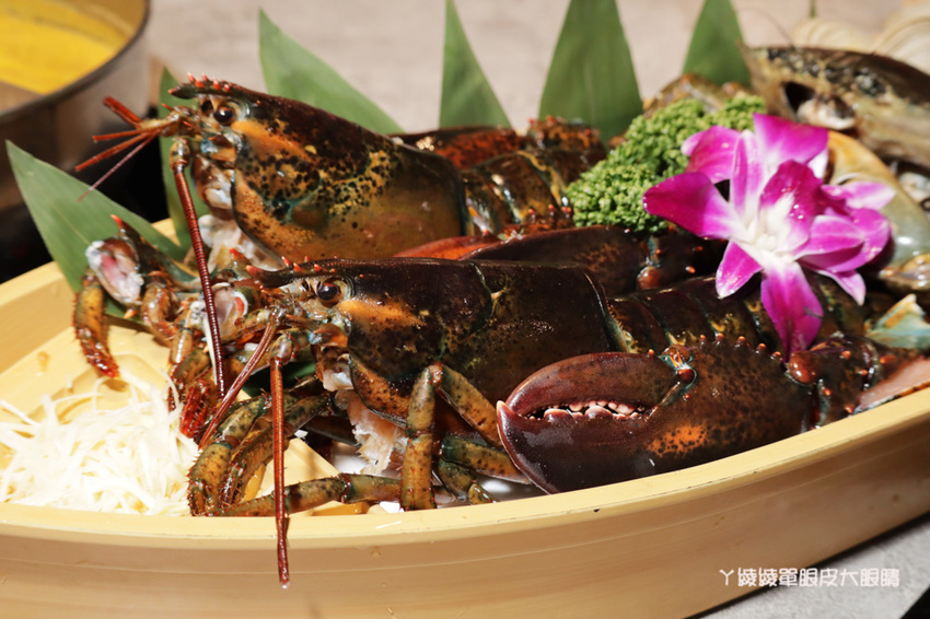 新竹火鍋推薦上官木桶鍋！竹北活體海鮮火鍋，竹科人揪團吃起來！免費請你吃肉盤