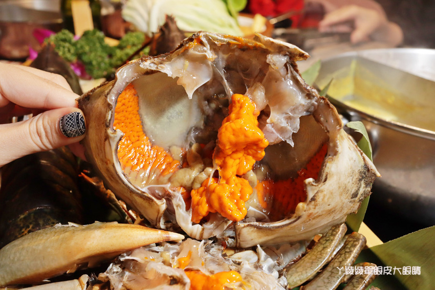 新竹火鍋推薦上官木桶鍋！竹北活體海鮮火鍋，竹科人揪團吃起來！免費請你吃肉盤