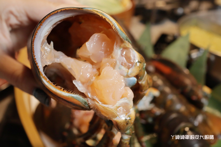 新竹火鍋推薦上官木桶鍋!竹北活體海鮮火鍋,竹科人揪團吃起來!免費請你吃肉盤