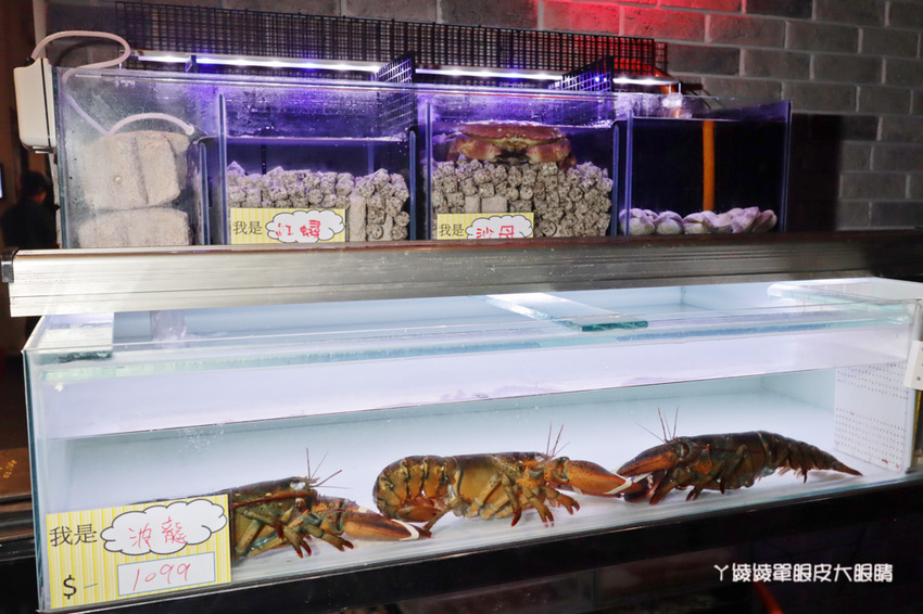 新竹火鍋推薦上官木桶鍋！竹北活體海鮮火鍋，竹科人揪團吃起來！免費請你吃肉盤