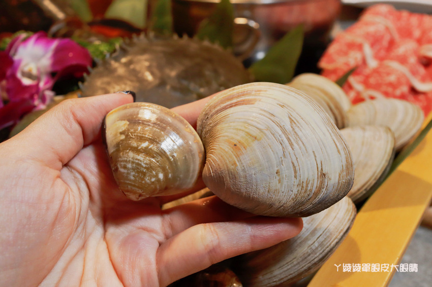 新竹火鍋推薦上官木桶鍋!竹北活體海鮮火鍋,竹科人揪團吃起來!免費請你吃肉盤