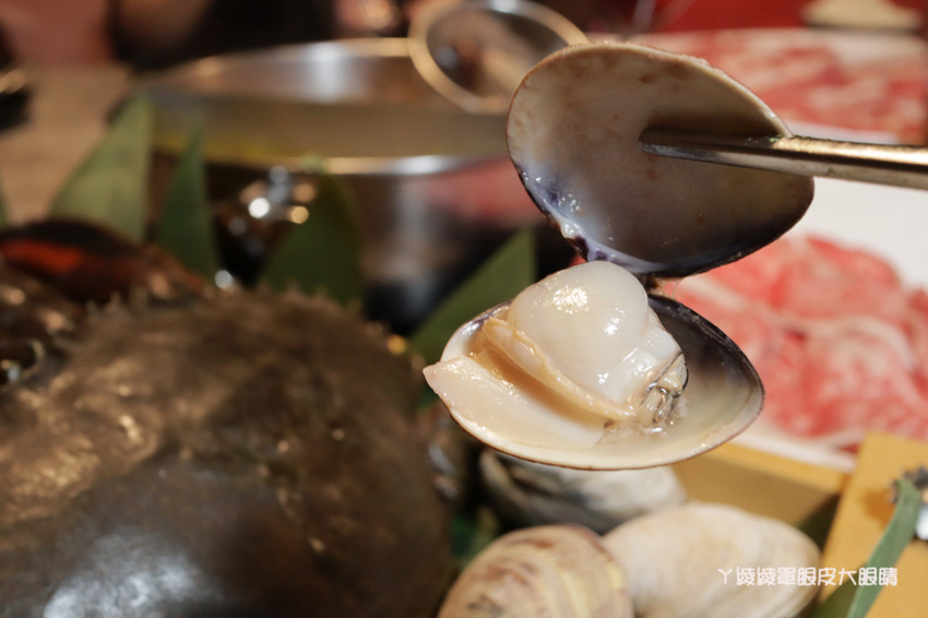 新竹火鍋推薦上官木桶鍋！竹北活體海鮮火鍋，竹科人揪團吃起來！免費請你吃肉盤