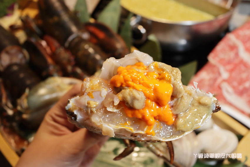 新竹火鍋推薦上官木桶鍋!竹北活體海鮮火鍋,竹科人揪團吃起來!免費請你吃肉盤