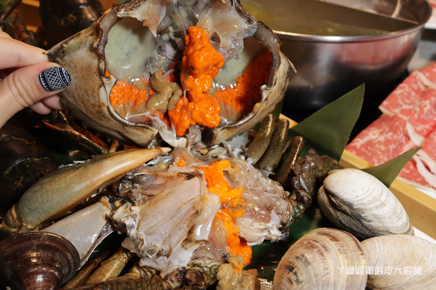 新竹火鍋推薦上官木桶鍋!竹北活體海鮮火鍋,竹科人揪團吃起來!免費請你吃肉盤