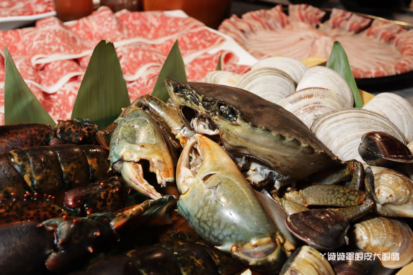 新竹火鍋推薦上官木桶鍋！竹北活體海鮮火鍋，竹科人揪團吃起來！免費請你吃肉盤