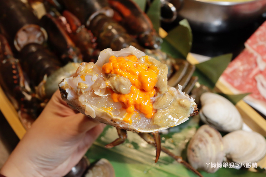 新竹火鍋推薦上官木桶鍋!竹北活體海鮮火鍋,竹科人揪團吃起來!免費請你吃肉盤