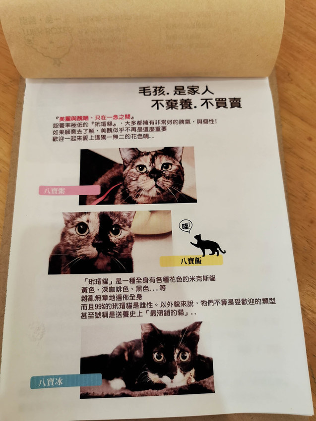 milk boxes 餓貓等一下 (9)