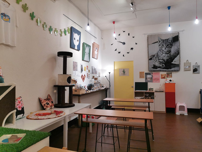 milk boxes 餓貓等一下 (6)