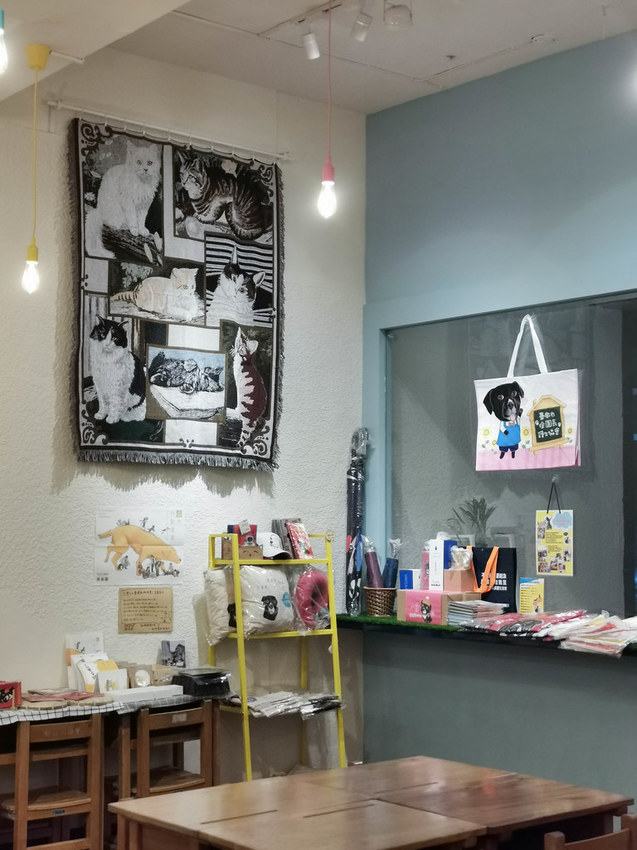 milk boxes 餓貓等一下 (4)