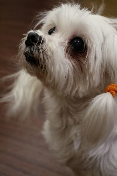 IMG_5099.jpg IMG_5099.jpg