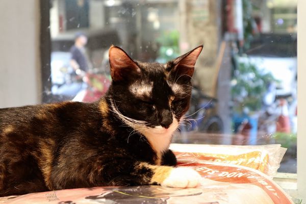 IMG_4990.jpg IMG_4990.jpg