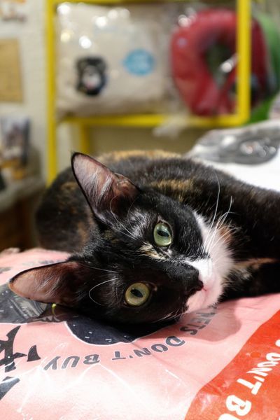 IMG_4986.jpg IMG_4986.jpg