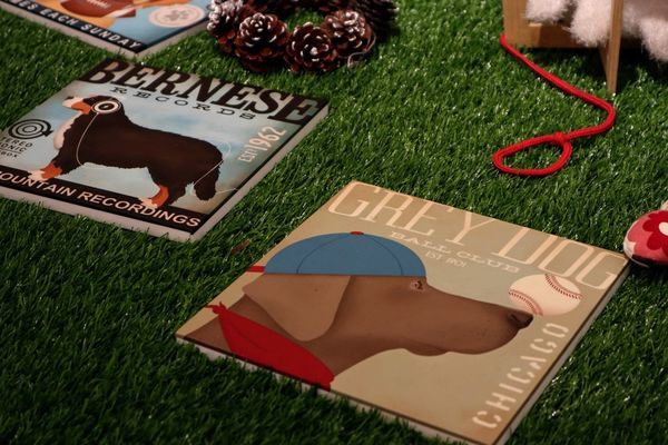 IMG_4975.jpg IMG_4975.jpg