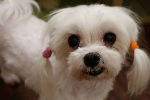 IMG_5092.jpg IMG_5092.jpg