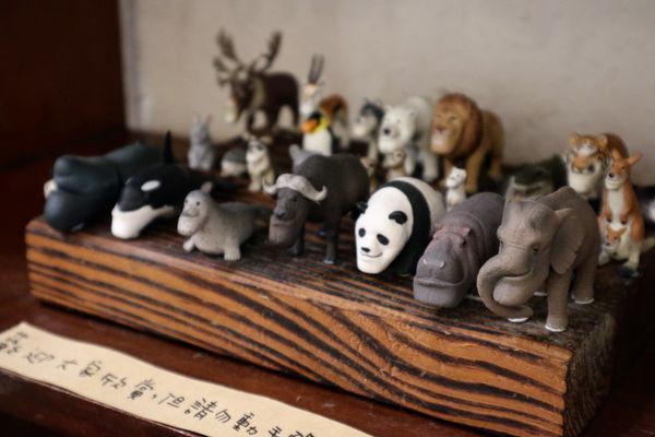 IMG_4976.jpg IMG_4976.jpg