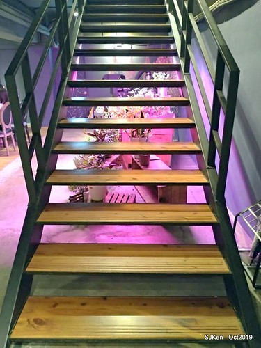 Out of Office cafe shop, Taipei, Taiwan, SJKen , Oct, 2019