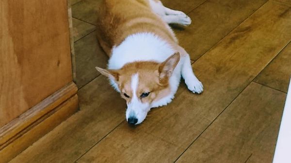 46353034_2138468086184869_2045384222310400000_n