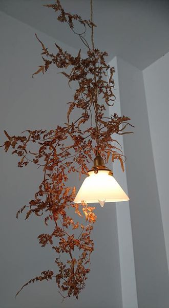 46280362_2138461446185533_914661161683648512_n