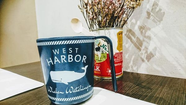 48281721_2180380225326988_271691470707097600_n