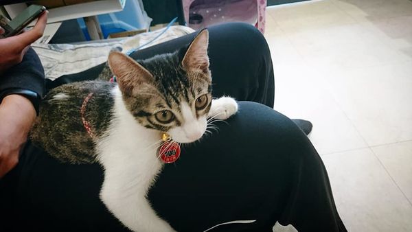 76910264_2774488262582845_8165987887859367936_n