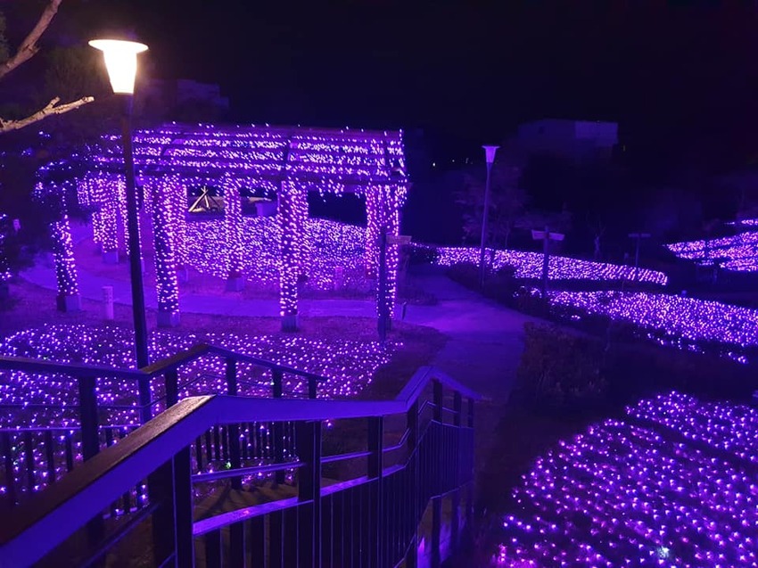 四重溪溫泉季 浪漫紫色星海 台灣燈會景點！(台灣四大名湯) 交通資訊~出門約會啦 - 跟著左豪吃不胖