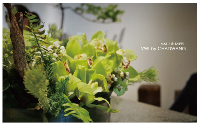 VWIbychadWang王策-14