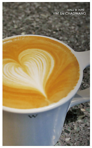 VWIbychadWang王策-7