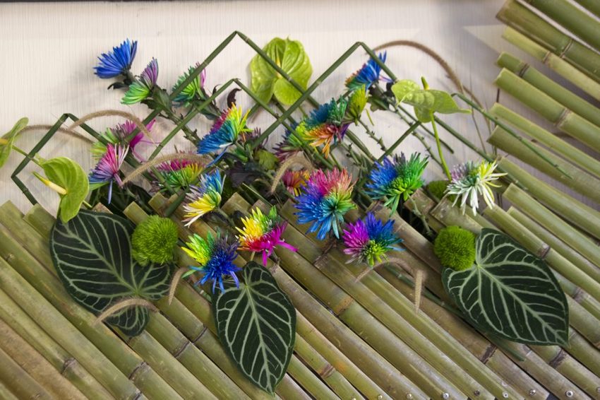 【台北展覽】菊世遨遊／2018士林官邸菊展～跟著變化萬千的菊花一日遊世界