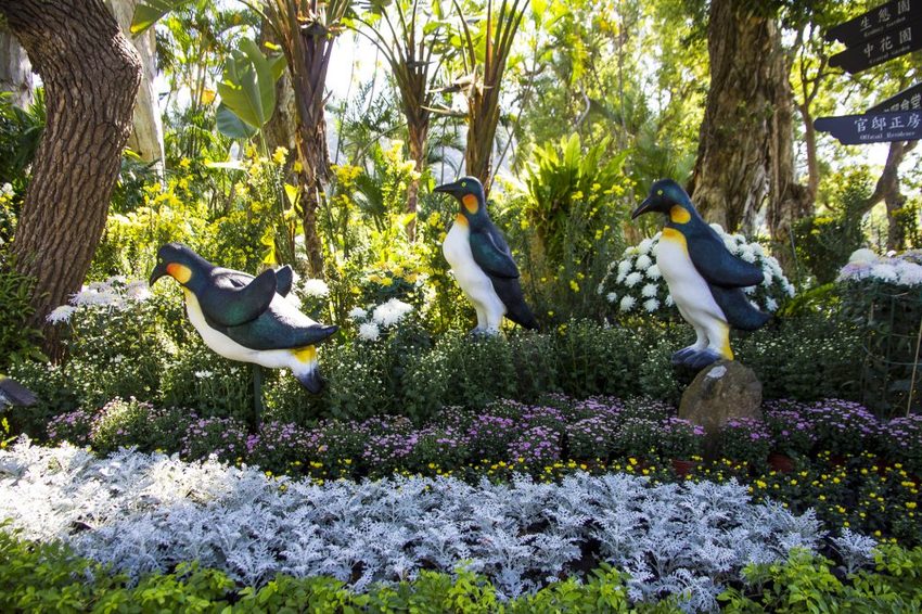 【台北展覽】菊世遨遊／2018士林官邸菊展～跟著變化萬千的菊花一日遊世界