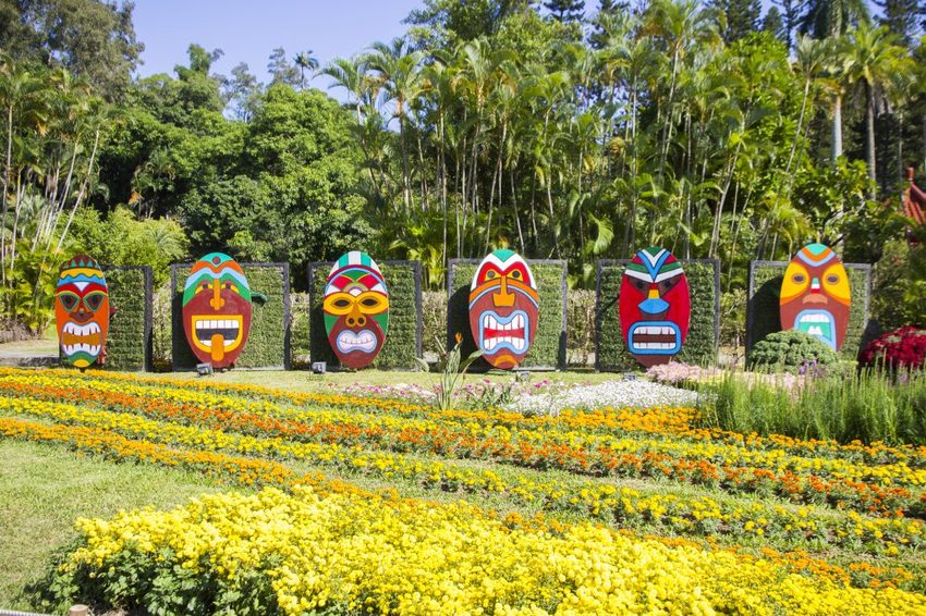 【台北展覽】菊世遨遊／2018士林官邸菊展～跟著變化萬千的菊花一日遊世界