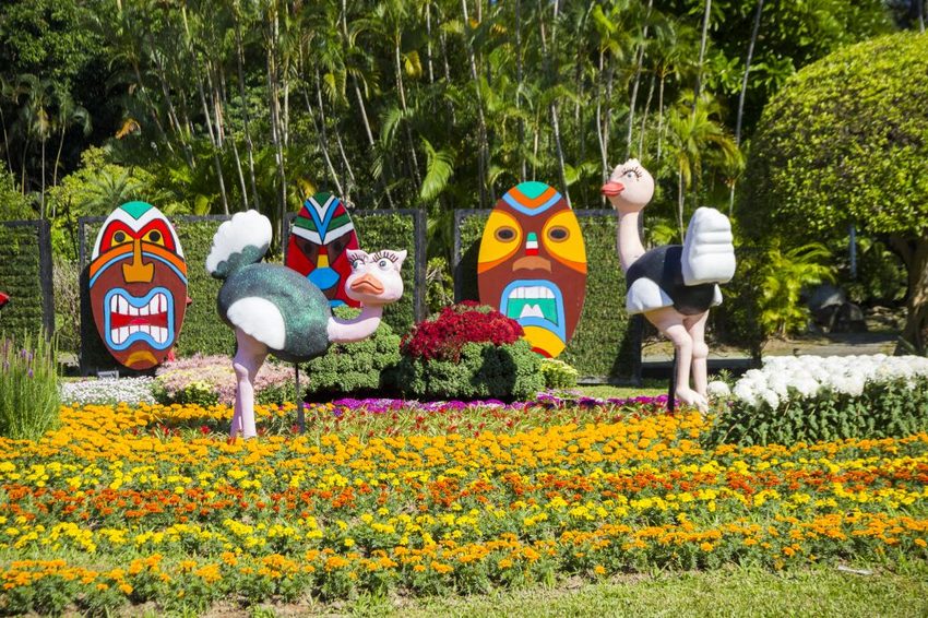 【台北展覽】菊世遨遊／2018士林官邸菊展～跟著變化萬千的菊花一日遊世界