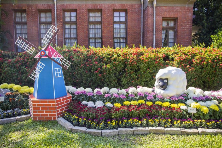 【台北展覽】菊世遨遊／2018士林官邸菊展～跟著變化萬千的菊花一日遊世界