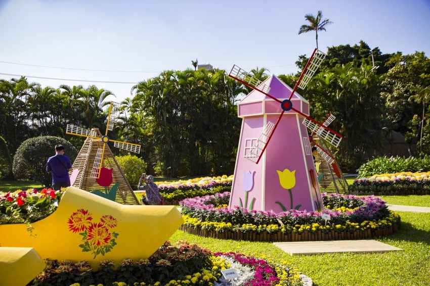 【台北展覽】菊世遨遊／2018士林官邸菊展～跟著變化萬千的菊花一日遊世界