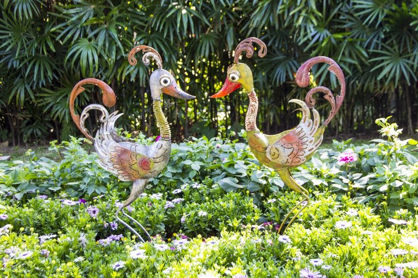 【台北展覽】菊世遨遊／2018士林官邸菊展～跟著變化萬千的菊花一日遊世界